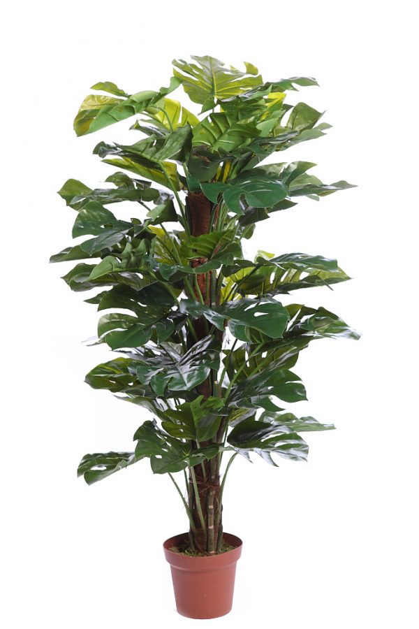 PLANTA MONSTERA ARTIFICIAL EN MACETA 140CM - Imagen 1