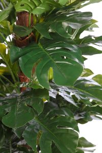 PLANTA MONSTERA ARTIFICIAL EN MACETA 140CM - Imagen 2