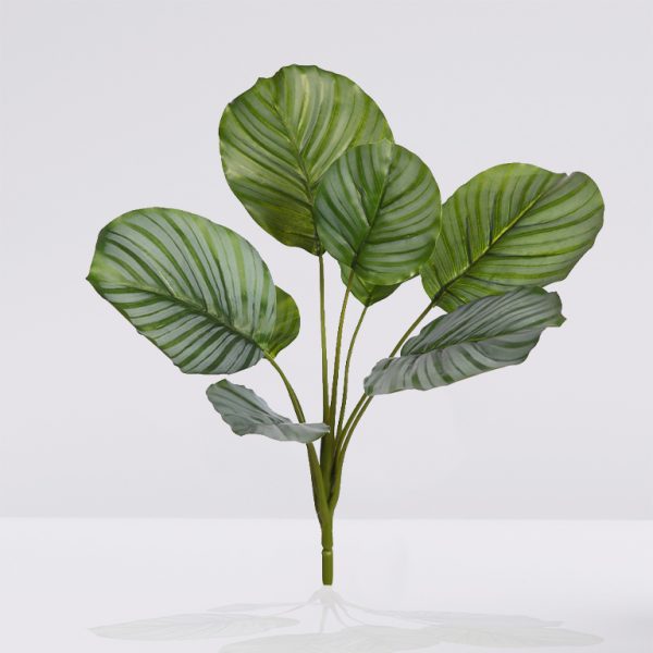 planta calathea artificial 46cm