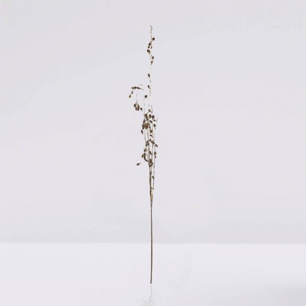 rama-colgante-piñas (1) rama de piñas colgante