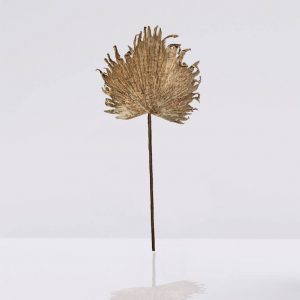 hoja monstera vintage