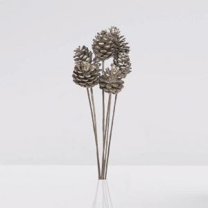 vara de piña natural