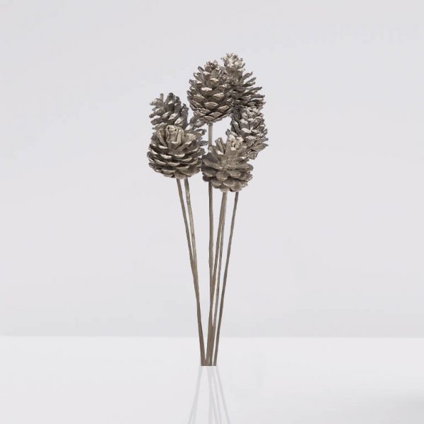 vara de piña natural