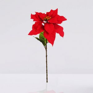 vara poinsettia 70cm