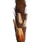 PALMERA ARTIFICIAL 280CM ANCHO 180CM - Imagen 4