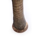 PALMERA ARTIFICIAL 280CM ANCHO 180CM - Imagen 6