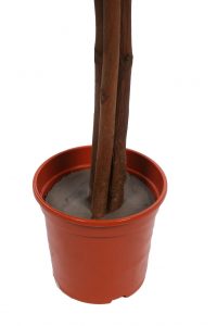 Ficus Artificial Verde 175 Cm - Imagen 3