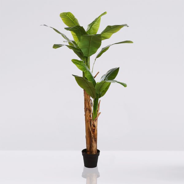 Planetera-Bananera-Artificial-180 Planetera Bananera Artificial 180cm