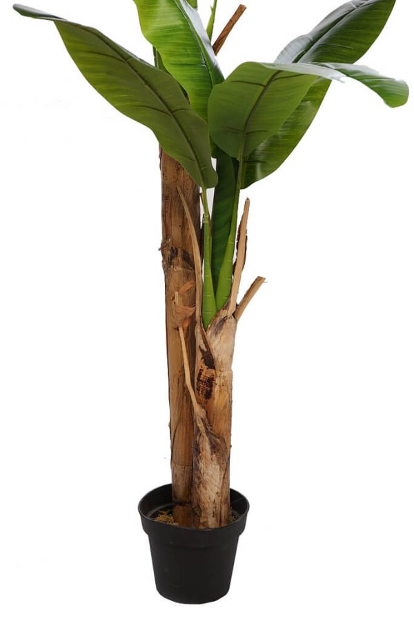 Planetera Bananera Artificial 180cm