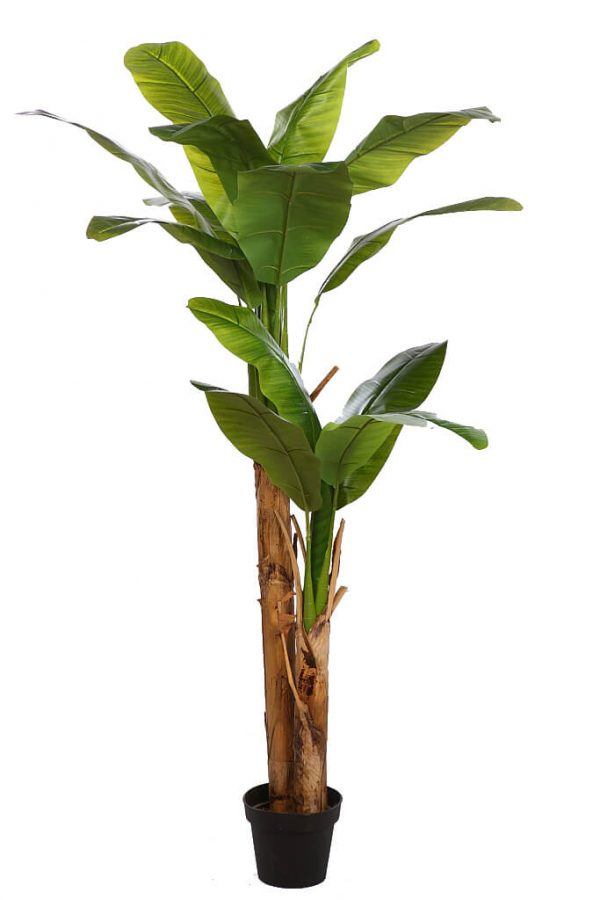 Planetera Bananera Artificial 180cm