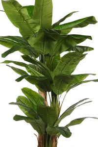 Planetera Bananera Artificial 240cm