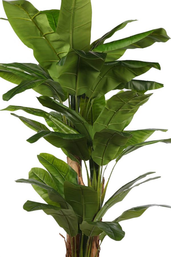 Planetera Bananera Artificial 240cm