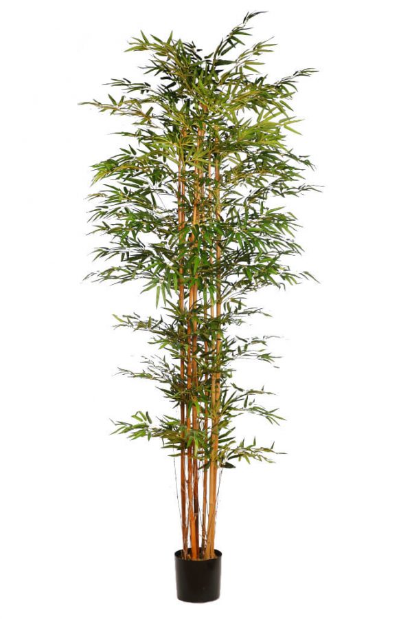 bambu-artificial-220 ARBOL BAMBU ARTIFICIAL EN MACETA 220CM - Imagen 1