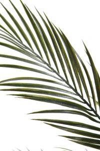 palmera areca artificial 130