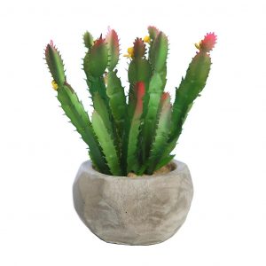 CACTUS FLOR EN MACETA CEMENTO 17CM