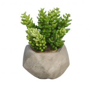 CRASA ARTIFICIAL EN MACETA DE CEMENTO 12CM