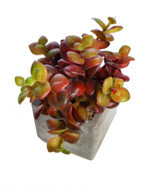 Maceta De Cemento Con Suculenta Artificial 16Cm - Imagen 1