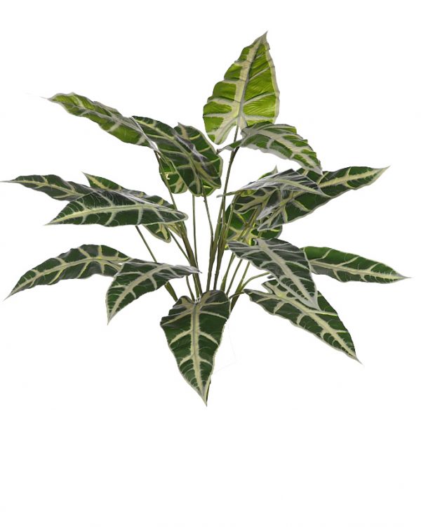 planta-alocasia-sanderiana-1.jpeg PLANTA ALOCASIA SANDERIANA ARTIFICIAL - Imagen 1