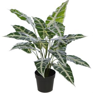 PLANTA ALOCASIA SANDERIANA ARTIFICIAL CON MACETA