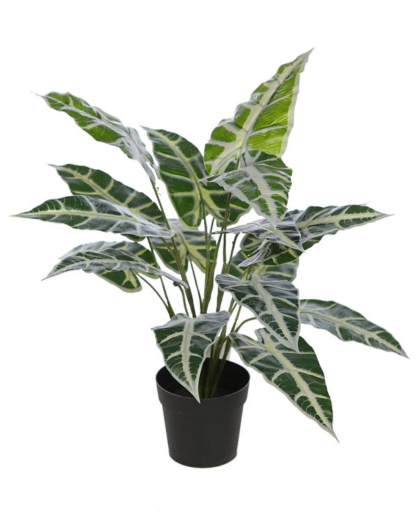 planta-alocasia-sanderiana-artificial-maceta-1.jpeg PLANTA ALOCASIA SANDERIANA ARTIFICIAL CON MACETA - Imagen 1