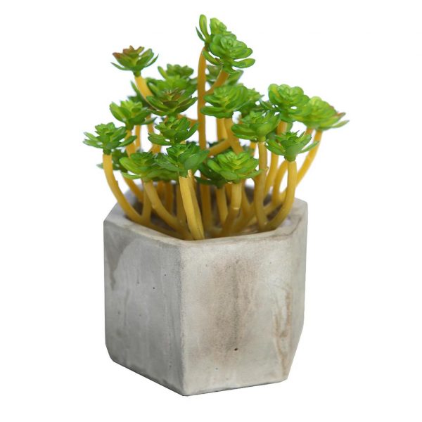 suculenta-artificial-maceta-cemento-16cm-1.jpeg SUCULENTA ARTIFICIAL EN MACETA DE CEMENTO 16CM - Imagen 1