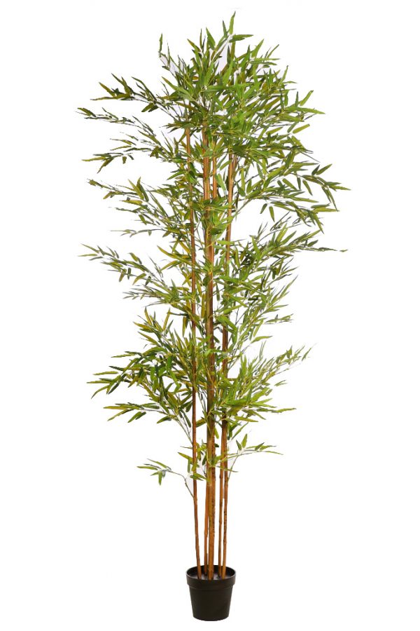 BAMBU ARTIFICIAL CAÑAS 220CM - Imagen 1