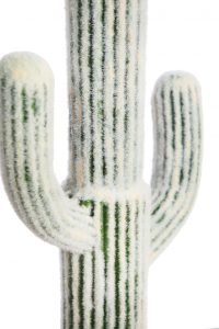 CACTUS CEPHALOCEREUS EN MACETA ARTIFICIAL 75CM - Imagen 2