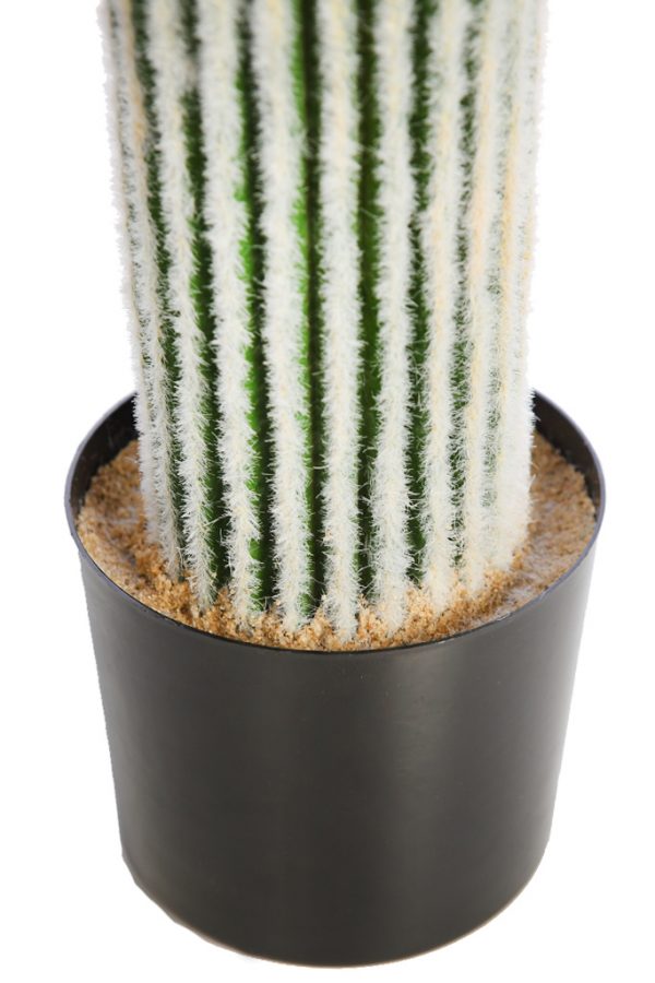 CACTUS-CEPHALOCEREUS-EN-MACETA-ARTIFICIAL-75-CM-3 CACTUS CEPHALOCEREUS EN MACETA ARTIFICIAL 75CM - Imagen 3