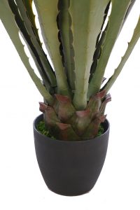 Cactus Agave Con Maceta 105 cm - Imagen 3