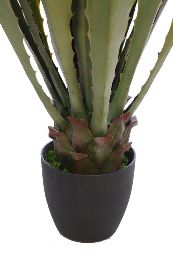 Cactus Agave Con Maceta 105 cm - Imagen 3