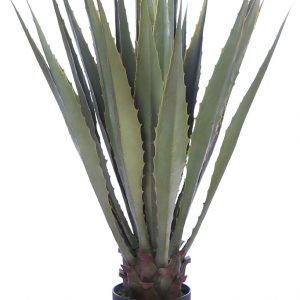 Cactus Agave Con Maceta 105 cm