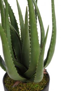 Cactus Aloe Artificial 55cm - Imagen 2