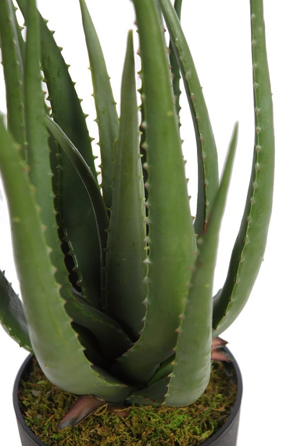 Cactus-Aloe-Artificial-55-cm-2 Cactus Aloe Artificial 55cm - Imagen 2