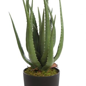 Cactus Aloe Artificial 55cm