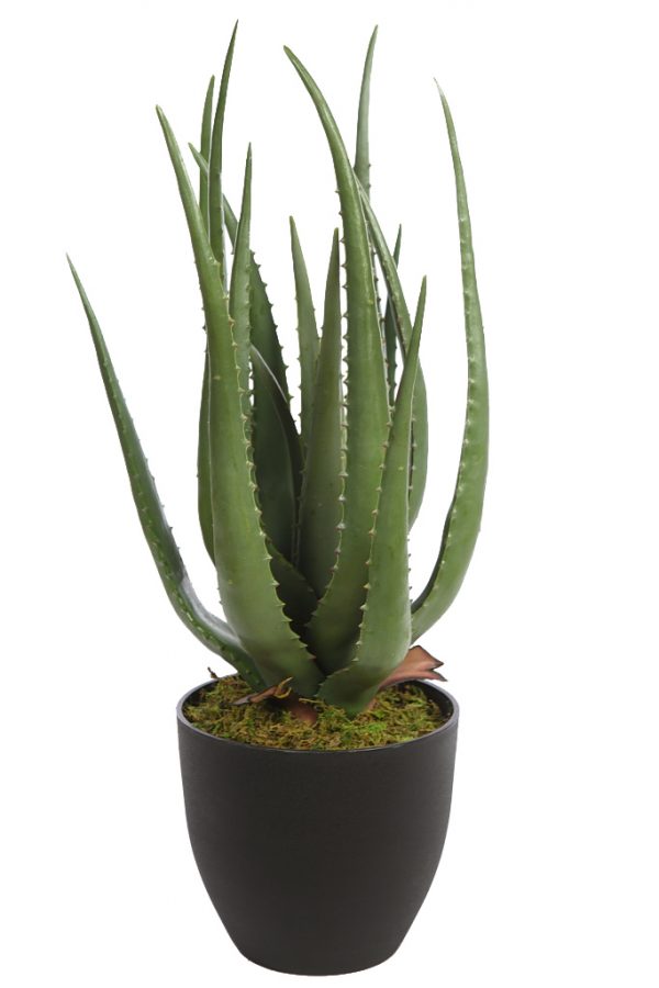 Cactus-Aloe-Artificial-55-cm Cactus Aloe Artificial 55cm - Imagen 1