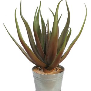 Cactus Aloe Artificial En Maceta Zinc 65cm
