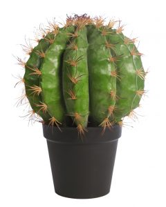 CACTUS BARRIL EN MACETA 48CM