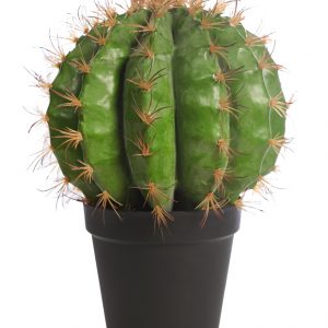 CACTUS BARRIL EN MACETA 48CM