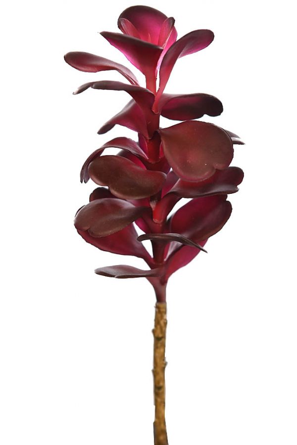 Cactus-Crasa-Echeveria-Artificial-26-cm Cactus Crasa Echeveria Artificial 26cm - Imagen 1