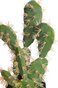 Cactus Opuntia Artificial 40cm - Imagen 2