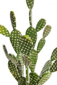 Cactus Opuntia Artificial En Maceta 56cm - Imagen 2