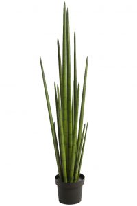 Cactus Sanseviera Cylindrica Aritificial 100cm