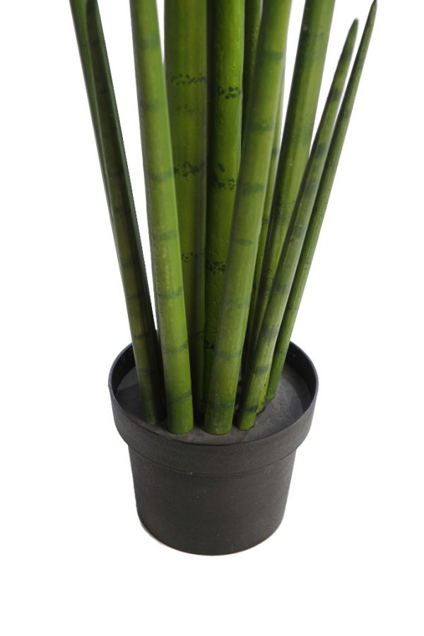 Cactus Sanseviera Cylindrica Aritificial 100cm - Imagen 3