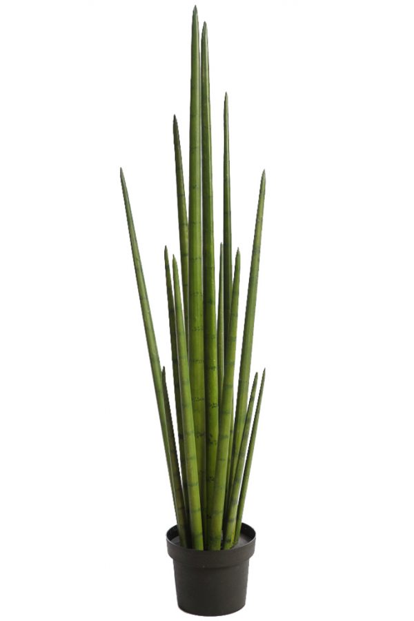 Cactus Sanseviera Cylindrica Aritificial 100cm - Imagen 1