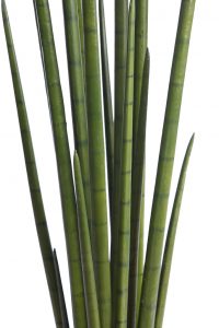 Cactus Sanseviera Cylindrica Aritificial 130cm - Imagen 2