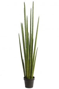 Cactus Sanseviera Cylindrica Aritificial 130cm
