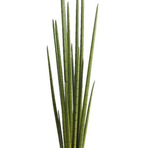 Cactus Sanseviera Cylindrica Aritificial 130cm