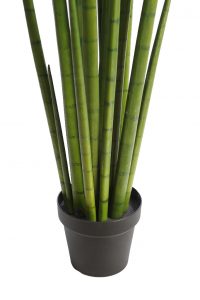 Cactus Sanseviera Cylindrica Aritificial 130cm - Imagen 4