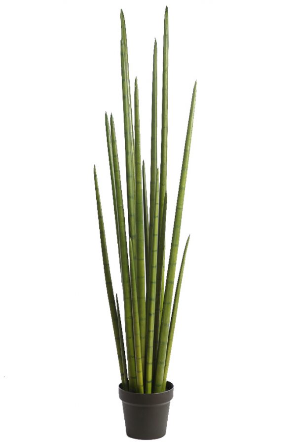 Cactus-Sanseviera-Cylindrica-Aritificial-130-cm Cactus Sanseviera Cylindrica Aritificial 130cm - Imagen 1