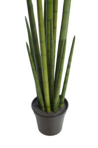 Cactus Sanseviera Cylindrica Aritificial 75cm - Imagen 3